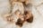 Familie bei Newborn Shooting_web